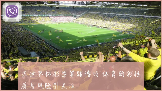 买世界杯彩票算赌博吗 体育购彩性质与风险引关注