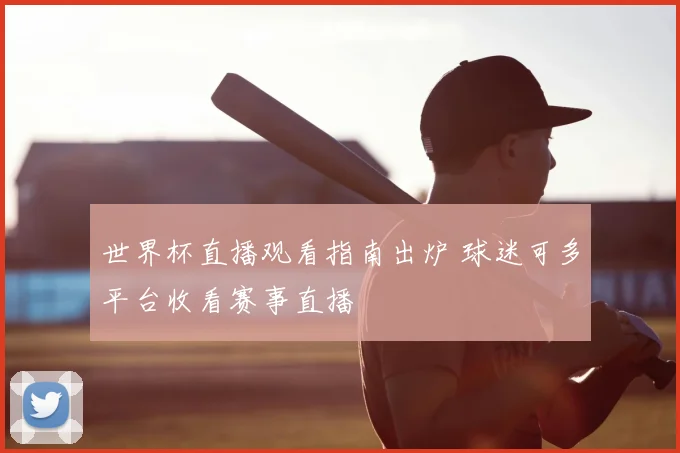 世界杯直播观看指南出炉 球迷可多平台收看赛事直播