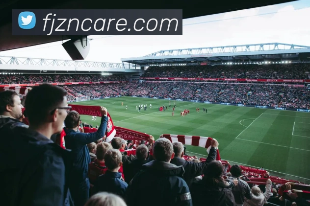 乐球直播app官方下载安装9.3版本平台生态图